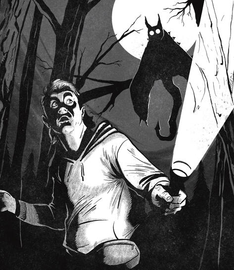 Hunting the Mothman